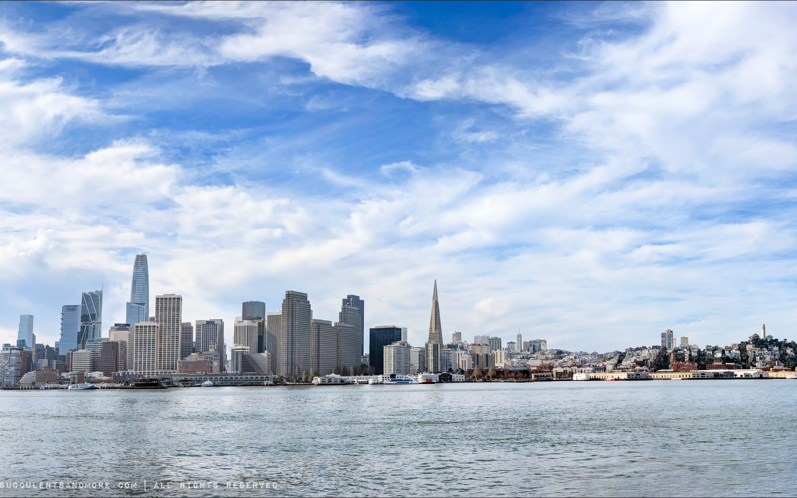 Ultrasound Equipment Financing in San Francisco, CA